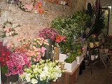 IMG_0134.jpg