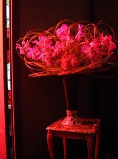imgada787acps4pio.jpg