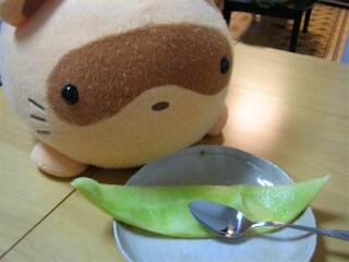 ボクのメロンが～