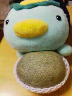 おおっ、よく見ればメロンだ！