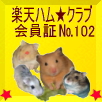 No.102 メイちゃん
