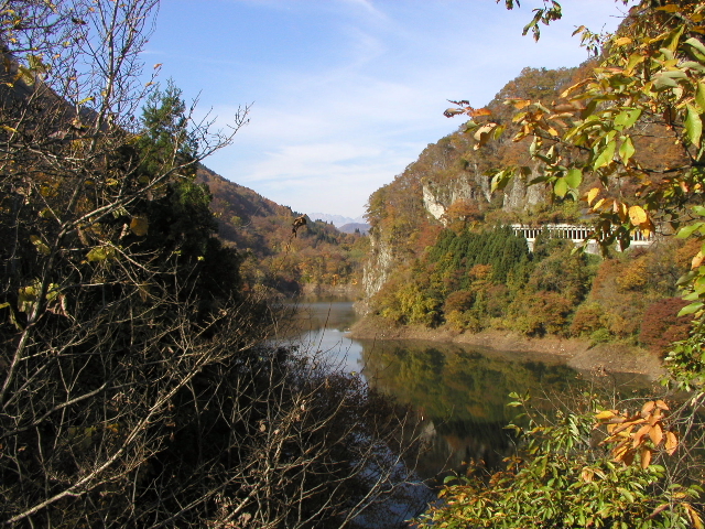 小枝の合い間に