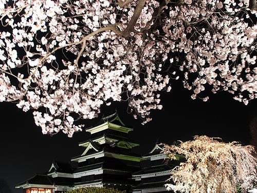 夜桜の松本城