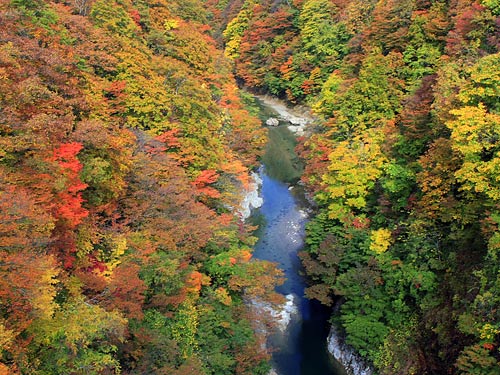 小安峡紅葉す