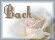whiteroseBACK