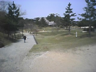 東大寺
