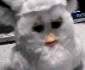 こーびーちゃん