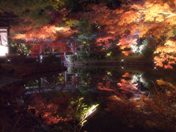 2007秋京都6