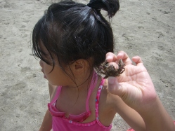 2006年7月31日0003.jpg