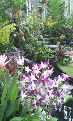20070820163959.jpg