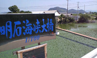 20070820132128.jpg