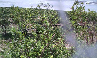 20070821120944.jpg