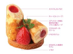 トルティーヤ・フレーズ