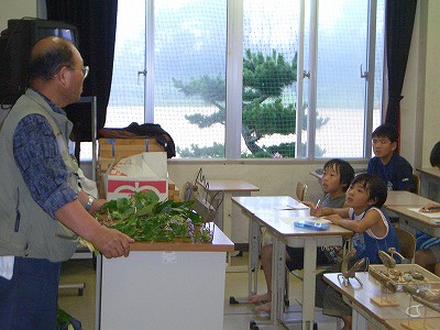 ながぐづ先生の「網地島の植物講座」