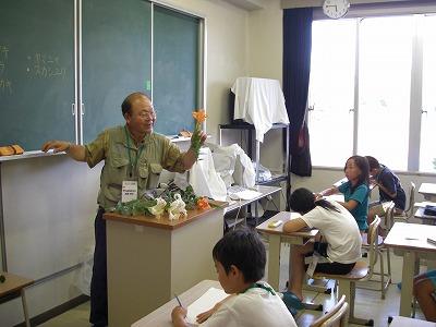 長靴先生の網地島の植物教室