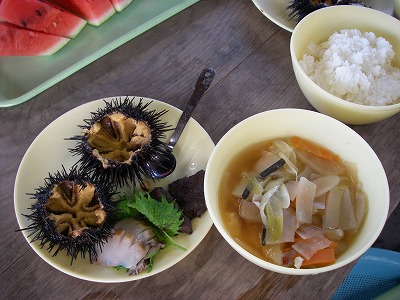 夕食このほかちゃんちゃん焼き，網地島でとれた鰹の刺身