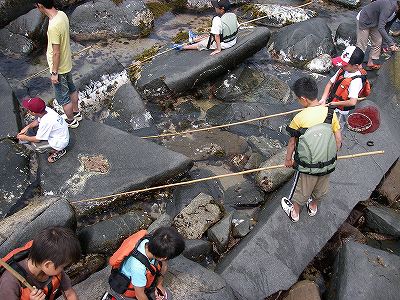 岩の下の穴に竹竿を入れて釣る
