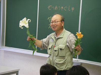 08長靴先生の網地島の植物教室