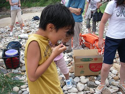 07魚をぱくぱく