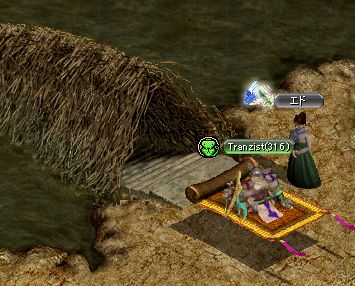 2006062504