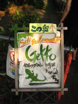 gekko08273.jpg