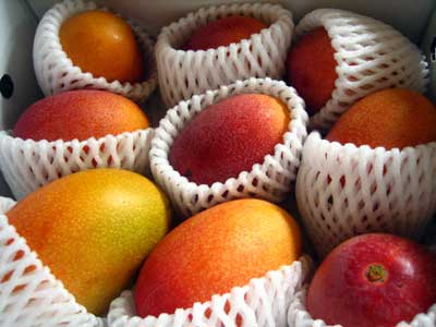 mango2.jpg