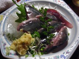 三州屋10025.jpg