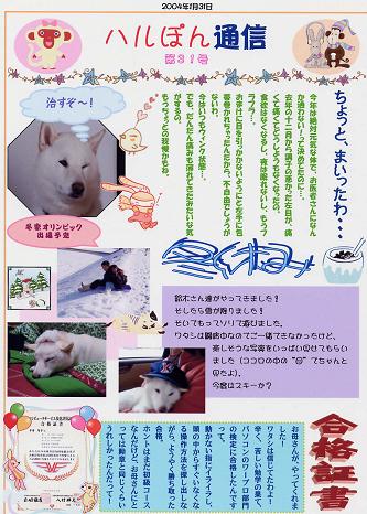ハルぽん通信３１号
