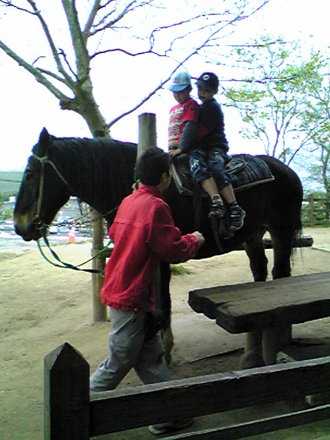 乗馬体験できます