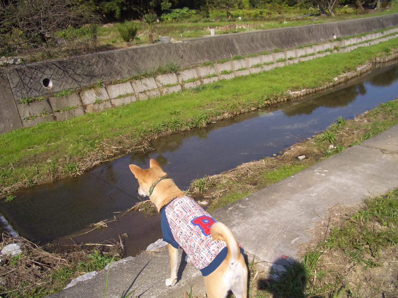 のぞき込む.jpg