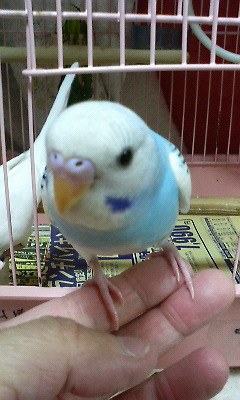 携帯写真 353.JPG