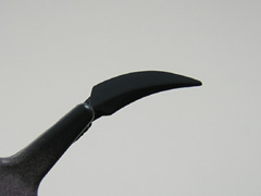 DSCN1083.jpg