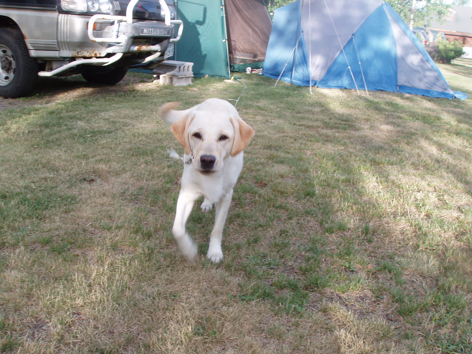 そっちに行くよ～