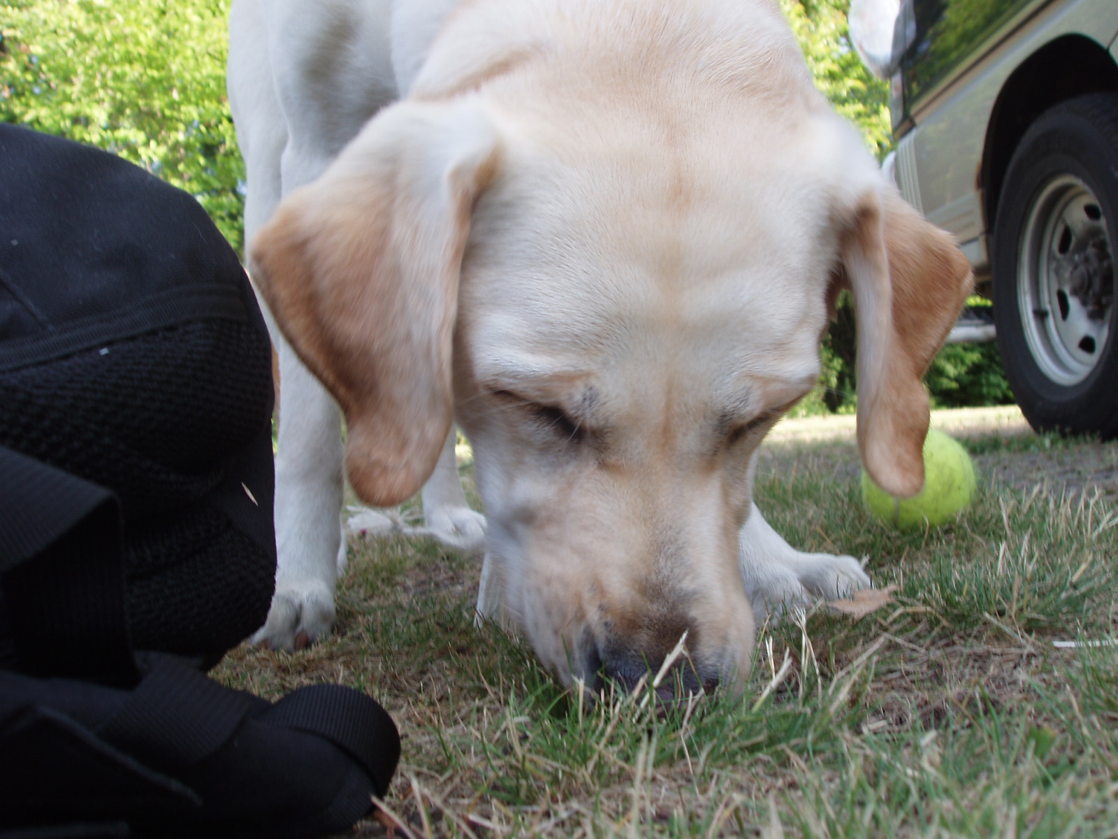 何があるかな？