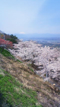 20100418遠くに浅間山.jpg