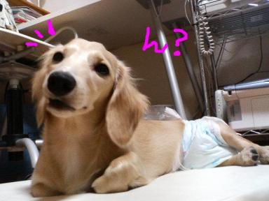 画像 218.jpg