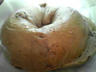 ドーナッツプラント