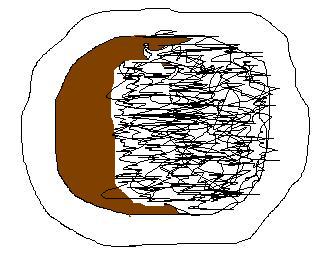 コピー ~ コピー ~ KIF_0232.JPG