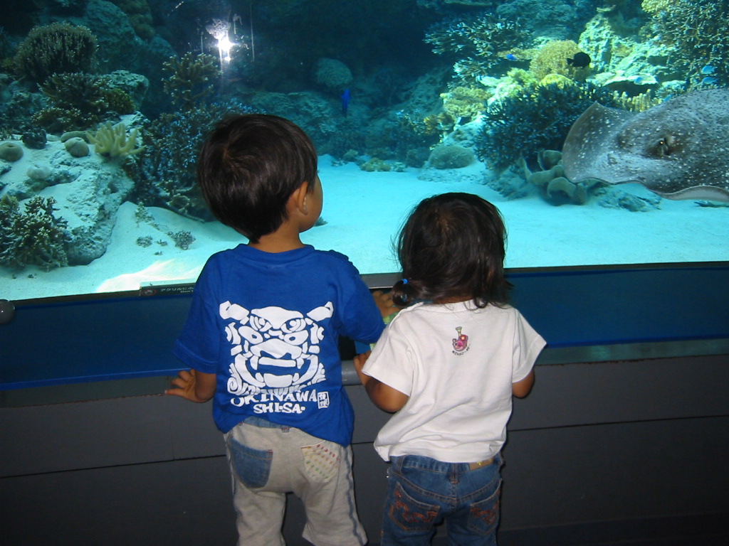 ２００７年９月沖縄 060.jpg