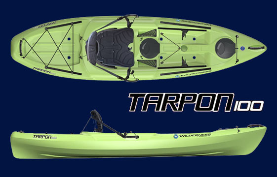 tarpon100.jpg