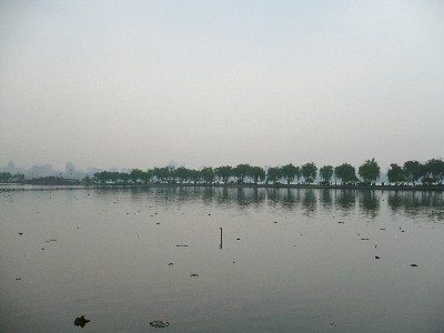 Hangzhou104