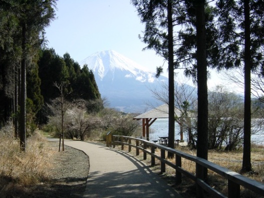 富士と田貫湖