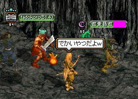 でかいやつ.JPG