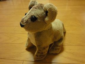 画像 463小ライオン.JPG