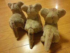 画像 466小ライオン.JPG