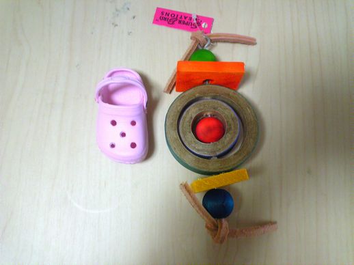 20110410小麦ちゃんへの誕生日プレゼント