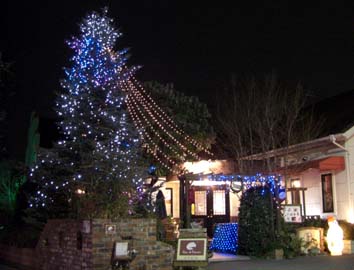 レーヴ・ド・プルミエールのイルミネーション１