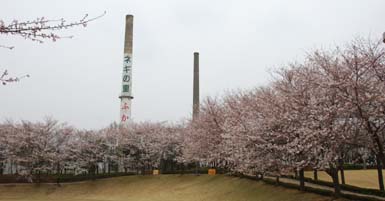 パティオの桜080330
