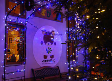 くまがや館イルミネーション07年・２
