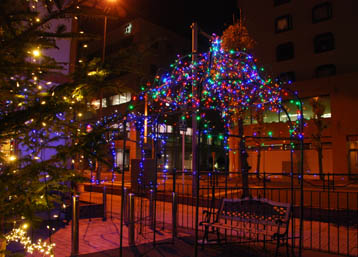 くまがや館イルミネーション07年・３